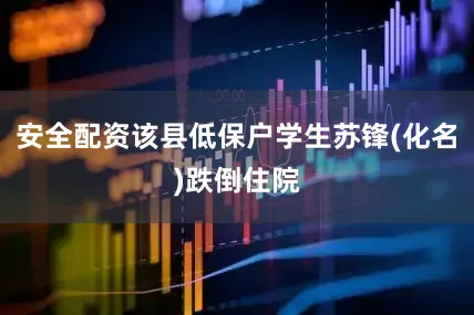 安全配资该县低保户学生苏锋(化名)跌倒住院