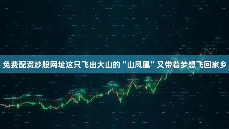 免费配资炒股网址这只飞出大山的“山凤凰”又带着梦想飞回家乡